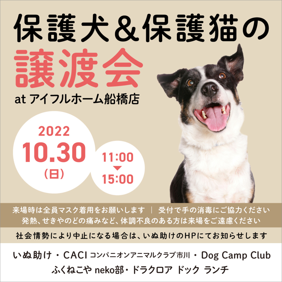 【アイフルホーム船橋店】保護犬＆保護猫の譲渡会