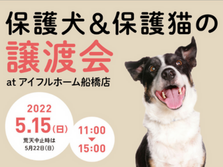 【アイフルホーム船橋店】動物愛護団体  保護犬・保護猫譲渡会