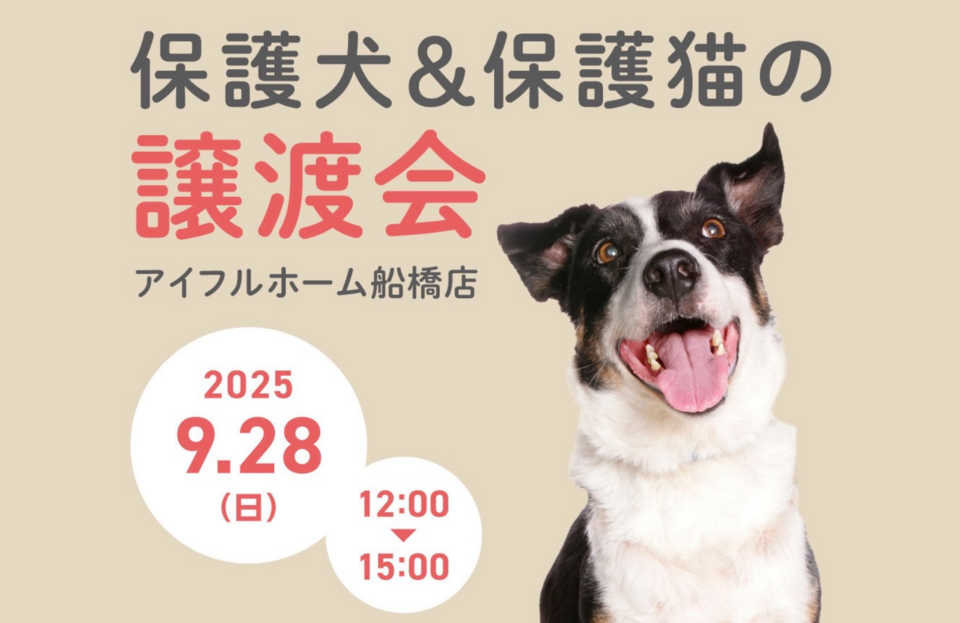 【千葉県船橋市】保護犬・保護猫 譲渡会