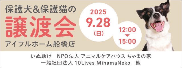保護犬保護猫譲渡会